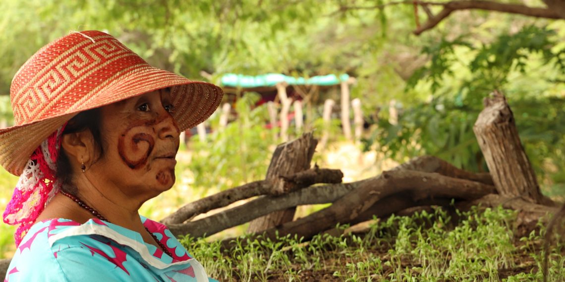 En 2023, la Fundación Alpina trabajó de la mano de 1.254 participantes de La Guajira