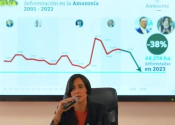 La deforestación en Colombia se redujo en 36% en 2023, la cifra más baja en más de dos décadas: MinAmbiente