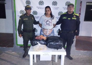 En Maicao capturan a una mujer con 70 kilos de carne de tortuga
