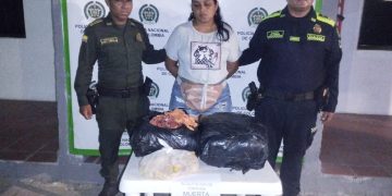 En Maicao capturan a una mujer con 70 kilos de carne de tortuga