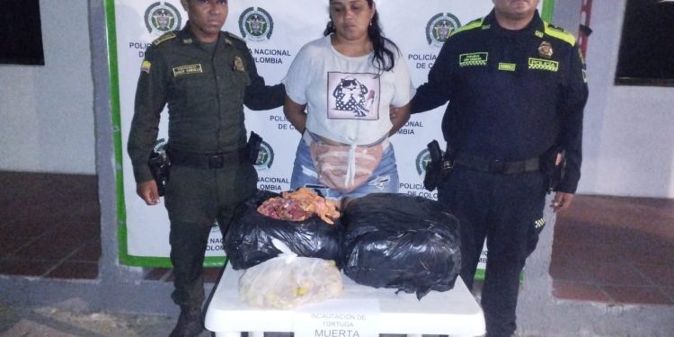 En Maicao capturan a una mujer con 70 kilos de carne de tortuga