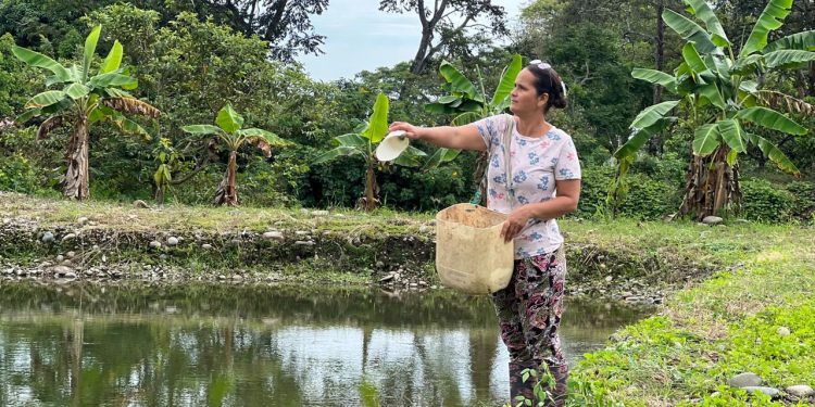 ECOMUN y CISP abren licitación para la construcción de una unidad productiva piscícola en La Guajira