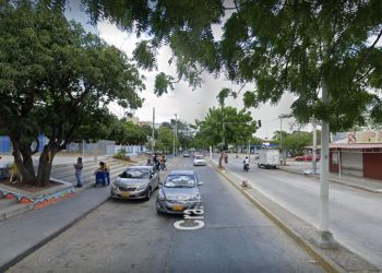 Árboles talados en la Avenida de los Estudiantes tienen permiso de Corpoguajira, por obras de mejoramiento de la malla vial de Riohacha