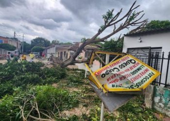 152 casas destechadas y 145 árboles caídos por vendaval en Barranquilla