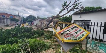 152 casas destechadas y 145 árboles caídos por vendaval en Barranquilla