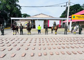 Ejército incautó una tonelada de marihuana en La Jagua del Pilar