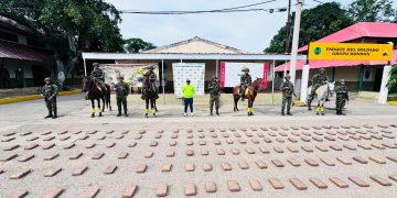 Ejército incautó una tonelada de marihuana en La Jagua del Pilar