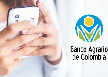 Quienes vayan a recibir la transferencia monetaria en este nuevo ciclo, deben verificar previamente la modalidad, lugar y fecha de pago en la página web de la Entidad.