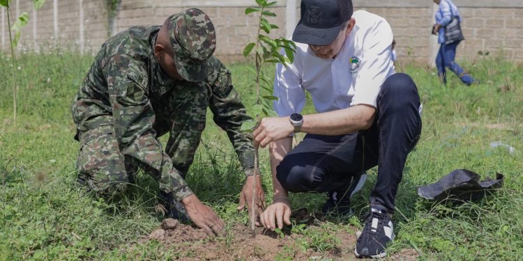 Corpoguajira avanza en la sembratón para celebrar  el Día Mundial del Árbol