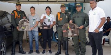 Incautación de aves en Riohacha: un llamado a la conciencia ambiental