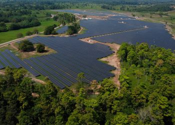 Ecopetrol inauguró la Granja Solar La Cira Infantas, en Barrancabermeja, que aportará 56,12 Mw de energía fotovoltaica