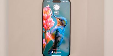 MinTIC lanzó ‘COP16: Paz con la naturaleza’, la aplicación oficial de la cumbre que se realizará en Cali