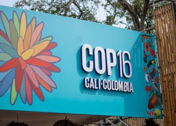 La COP16, un evento trascendental para la biodiversidad mundial
