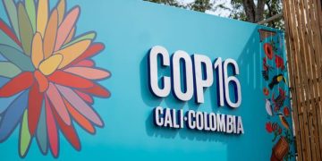 La COP16, un evento trascendental para la biodiversidad mundial