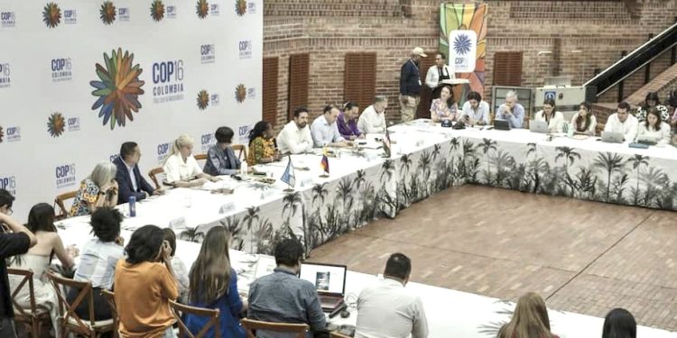 Corpoguajira firma el decálogo “Caribe Vivo Biodiverso”  en la COP16