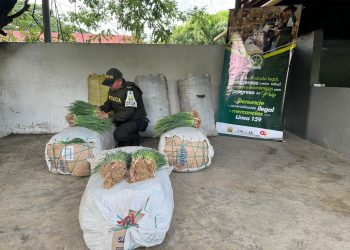 Policía decomisar una tonelada de alimentos perecederos en La Guajira