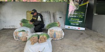 Policía decomisar una tonelada de alimentos perecederos en La Guajira