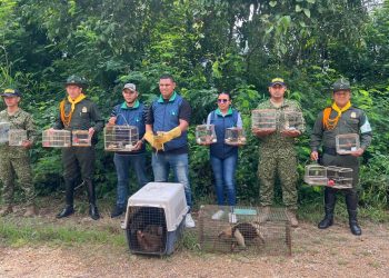 En los departamentos de Bolívar y Sucre, la Armada recupera 107 especies de fauna silvestre