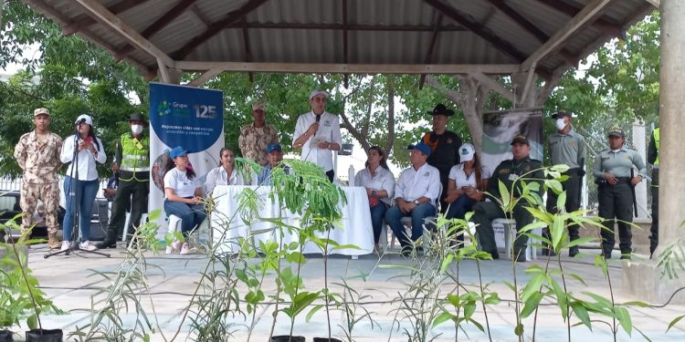 Corpoguajira inicia la sembratón 2024 para celebrar el Día Mundial del Árbol