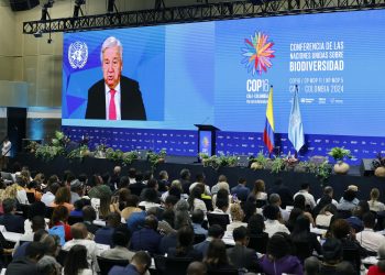 Nuestra tarea en esta COP es pasar de las palabras a los hechos: secretario general de las Naciones Unidas, António Guterres