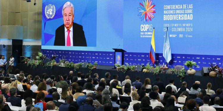 Nuestra tarea en esta COP es pasar de las palabras a los hechos: secretario general de las Naciones Unidas, António Guterres