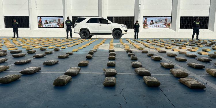 Policía incauta 760 paquetes prensados de marihuana en zona rural de Manaure