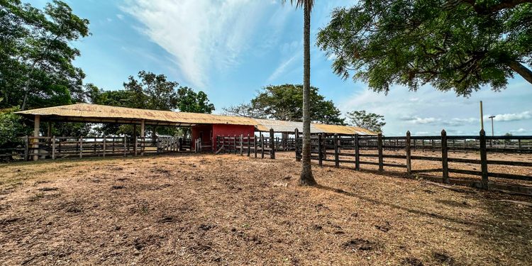 Finca ‘La Molinera’ de Sucre, ofertada voluntariamente por exsenador de la República, pasará a manos de 160 familias campesinas