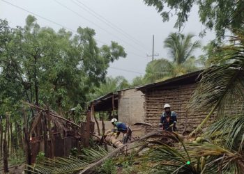 Denuncia de ciudadanos de La Guajira ante Corpoguajira y la Procuraduría Ambiental por poda de árboles por parte de Air-e