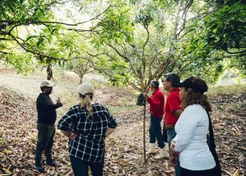 Con balance positivo culmina la visita de evaluación externa al programa de Ingeniería Agronómica de UNIMAGDALENA