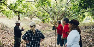 Con balance positivo culmina la visita de evaluación externa al programa de Ingeniería Agronómica de UNIMAGDALENA