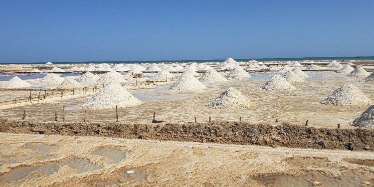 Avanza en Congreso de la República proyecto de ley que reactiva Salinas Marítimas de Manaure