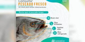 Emiten recomendaciones para consumo seguro de pescado y mariscos en Semana Santa