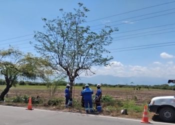 Corpoguajira impone medida preventiva contra la empresa Air-e y ordena suspender las actividades de poda que viene realizando