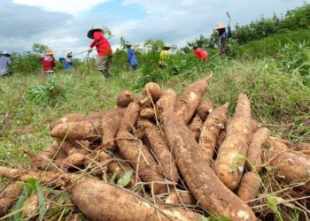 Procuraduría pide ampliar plazo y hace observaciones a proyecto de resolución que modifica áreas agrícolas protegidas en La Guajira
