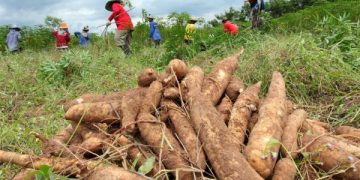 Procuraduría pide ampliar plazo y hace observaciones a proyecto de resolución que modifica áreas agrícolas protegidas en La Guajira