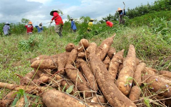 Procuraduría pide ampliar plazo y hace observaciones a proyecto de resolución que modifica áreas agrícolas protegidas en La Guajira