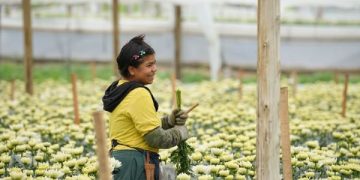 Colombia triplicó la exportación de flores a diferentes países del mundo para la celebración del Día de la Madre