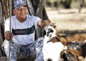 El ICA levantó la emergencia sanitaria por brote de carbunco bacteridiano en La Guajira