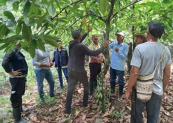 El ICA fortalece la sanidad vegetal en La Guajira