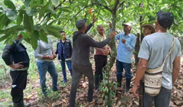 El ICA fortalece la sanidad vegetal en La Guajira