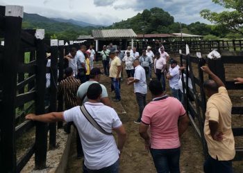 En La Guajira empezamos a cuidar mejor a nuestros animales: transportadores se forman en bienestar animal