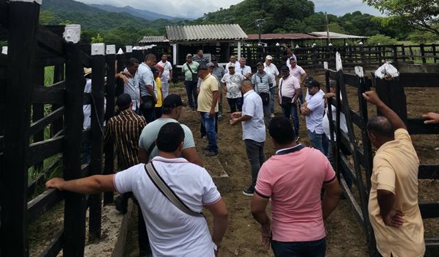 En La Guajira empezamos a cuidar mejor a nuestros animales: transportadores se forman en bienestar animal