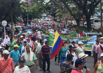 Para nacional arrocero inicia este lunes 14 de julio