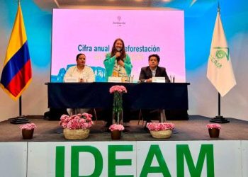 Colombia consolidó en 2024 la segunda cifra de deforestación más baja de la historia: 113.608 hectáreas