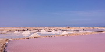 La empresa de sal para Colombia es una realidad