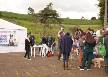 Esterilizaciones caninas y felinas gratuitas en zonas urbana y rural de Tunja