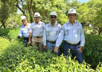 Drummond Ltd. alcanza un nuevo hito ambiental con la certificación del ICA a su Vivero Forestal