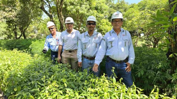 Drummond Ltd. alcanza un nuevo hito ambiental con la certificación del ICA a su Vivero Forestal