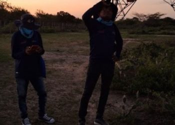 Enlaza implementa piloto para proteger al flamenco rosado del Caribe en La Guajira