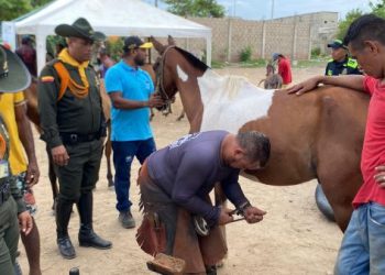 La Policía Nacional lidera Gran Jornada de Bienestar Animal en Riohacha